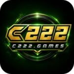 C222 Game