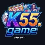 K55 Game