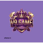 V9 Game