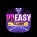 PKEASY Game