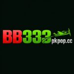 BB333 Game
