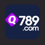 Q789 Game
