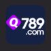 Q789 Game