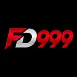 FD999 Game