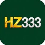 HZ333 Game