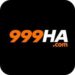 999HA Website